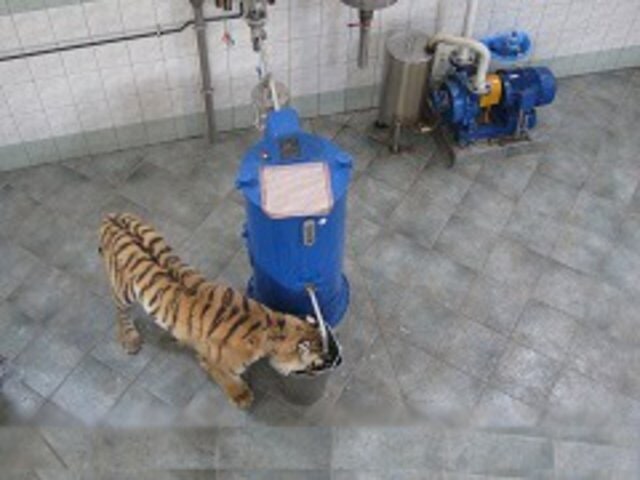 Hmm, Vynikající, To Je Z Hrušek?