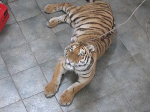 Můžu Ochutnat? Prosííím!